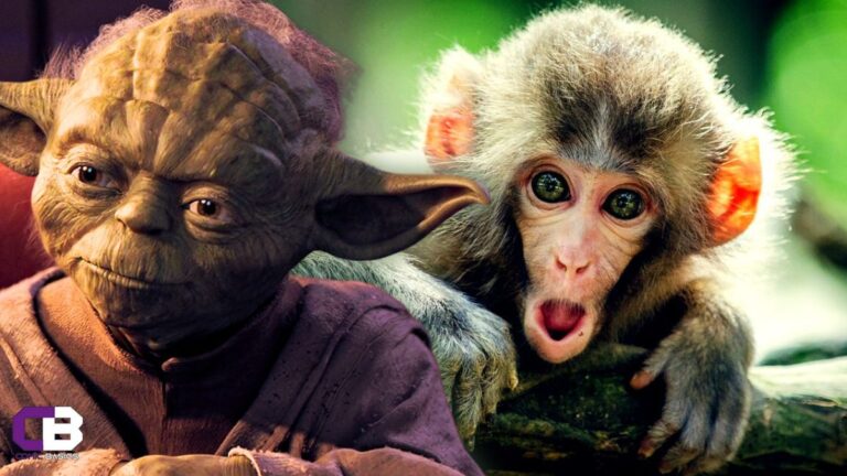 Did You Know a Monkey Was Almost Cast as Master Yoda?