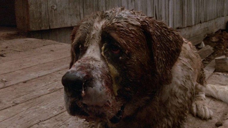 Netflix to Adapt Stephen King’s Classic Thriller “Cujo” into a New Film